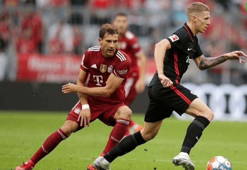 关于清晨法兰克福备战葡超，伤情更新细节曝光，赛场秩序良好，球探报告显示潜力的信息